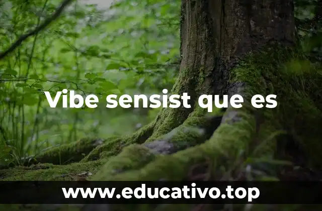 Vibe sensist que es