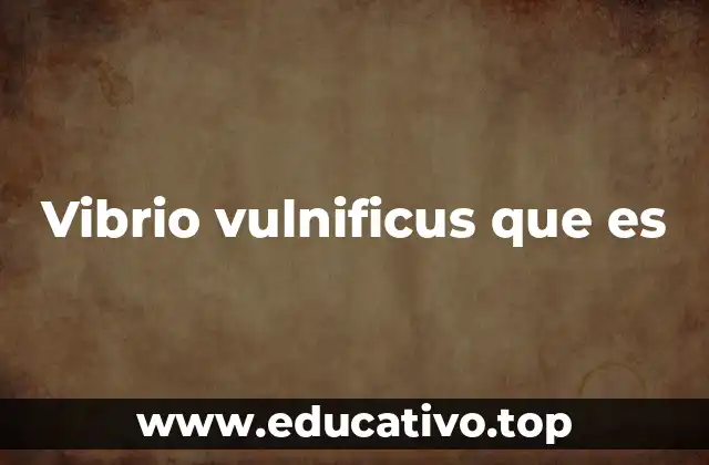 Vibrio vulnificus que es