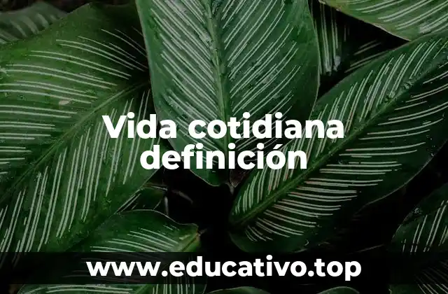 Vida cotidiana definición