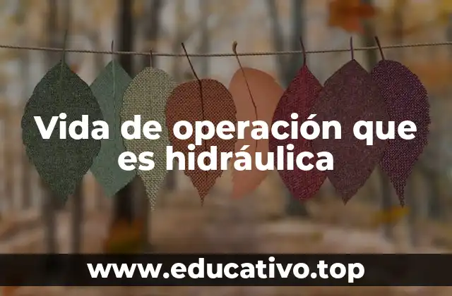Vida de operación que es hidráulica