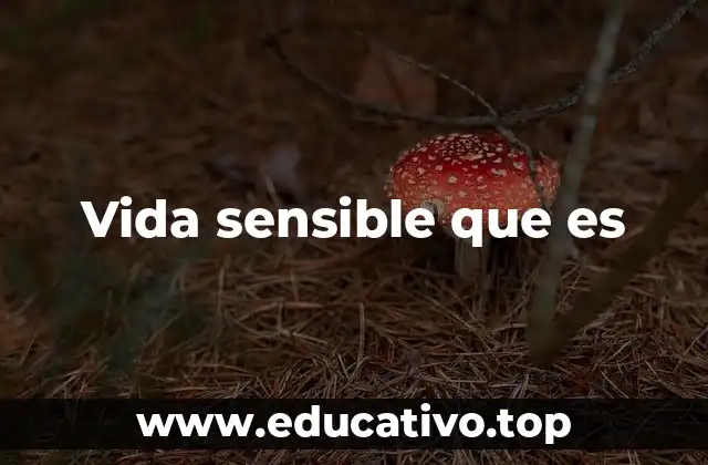 Vida sensible que es