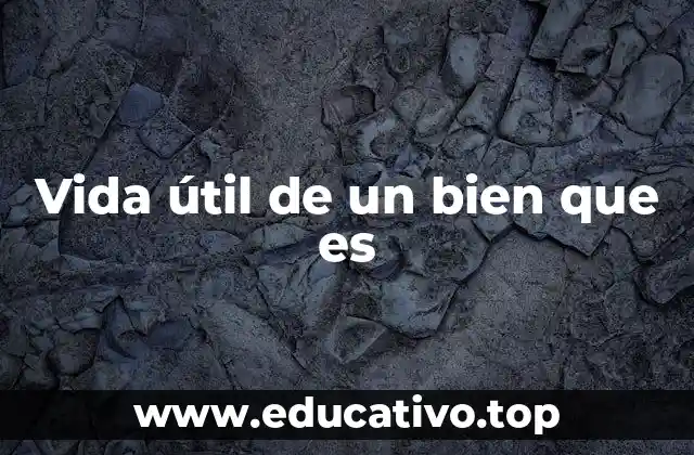 Vida útil de un bien que es