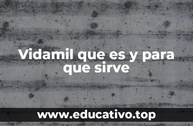 Vidamil que es y para que sirve