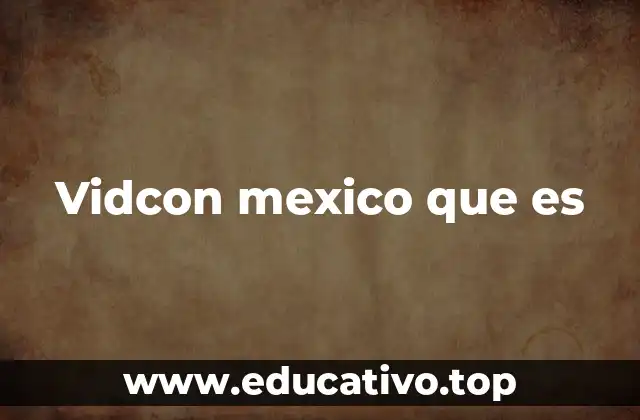 Vidcon mexico que es