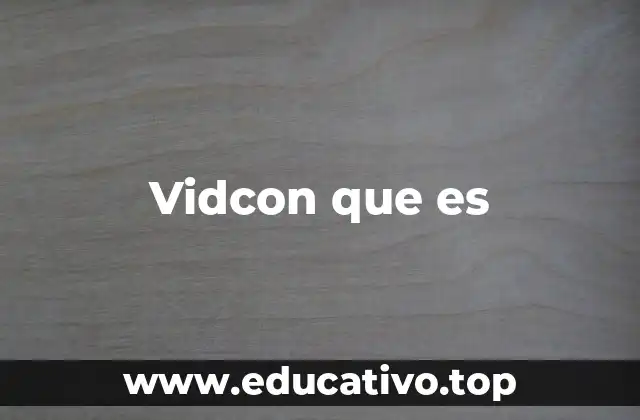 Vidcon que es