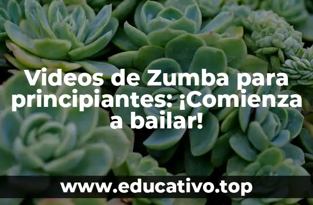 Videos de Zumba para principiantes: ¡Comienza a bailar!