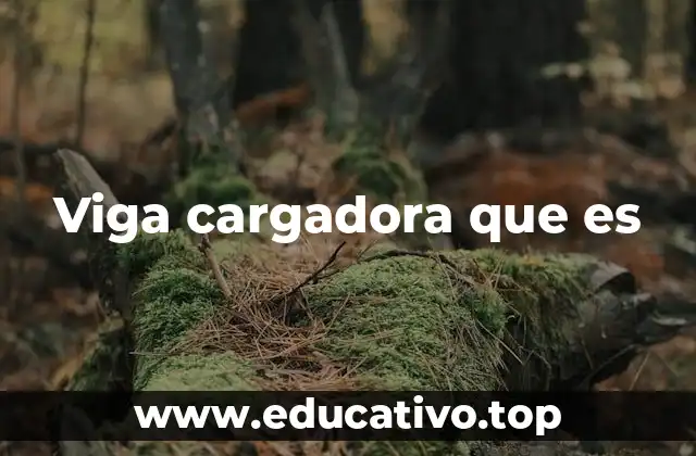 Viga cargadora que es