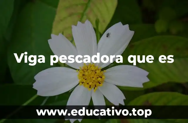 Viga pescadora que es
