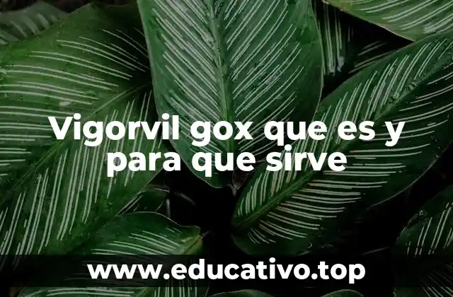 Vigorvil gox que es y para que sirve
