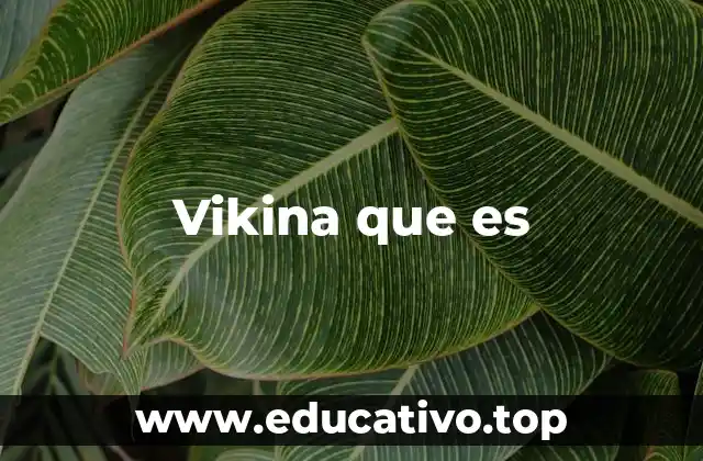 Vikina que es