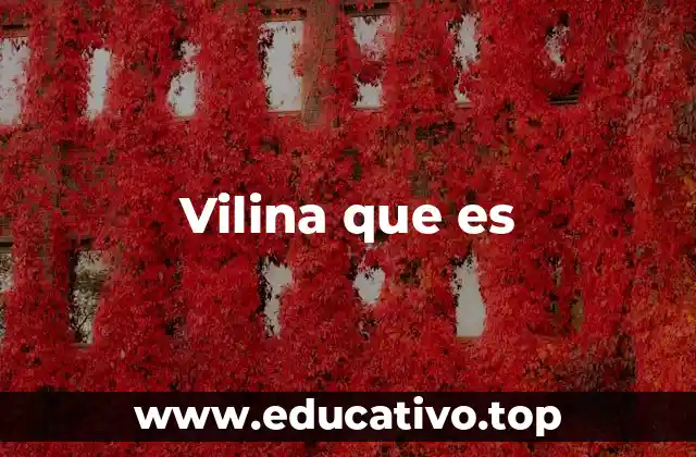Vilina que es