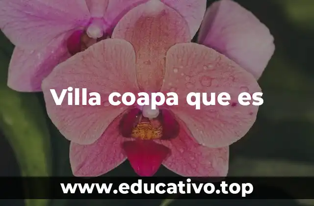 Villa coapa que es