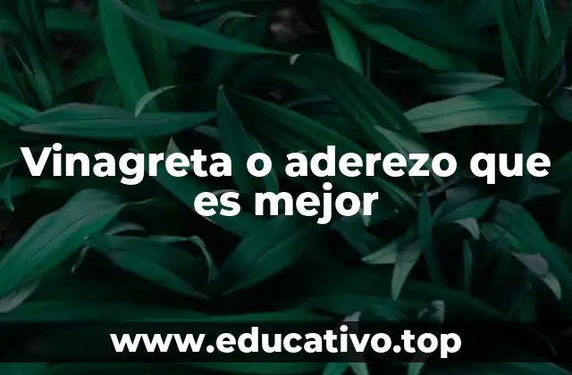 Vinagreta o aderezo que es mejor