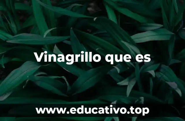 Vinagrillo que es