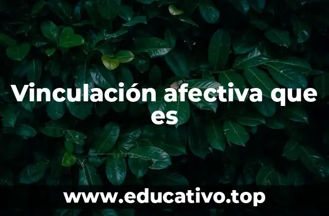 Vinculación afectiva que es