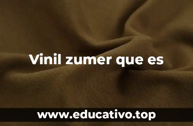 Vinil zumer que es