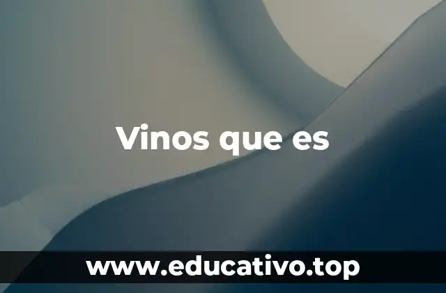 Vinos que es