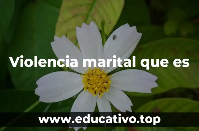 Violencia marital que es