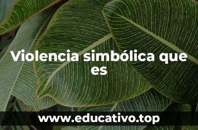 Violencia simbólica que es