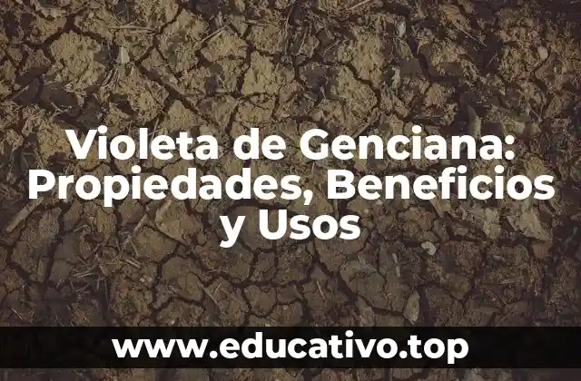 Violeta de Genciana: Propiedades, Beneficios y Usos