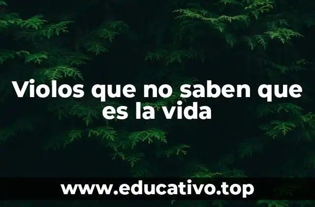 Violos que no saben que es la vida