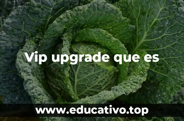 La importancia del trato diferenciado en el servicio al cliente