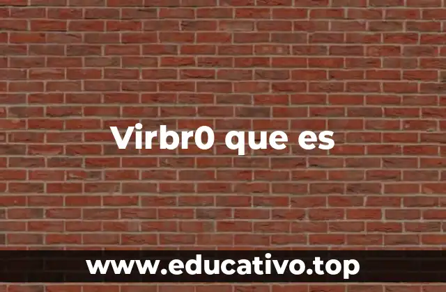 Virbr0 que es