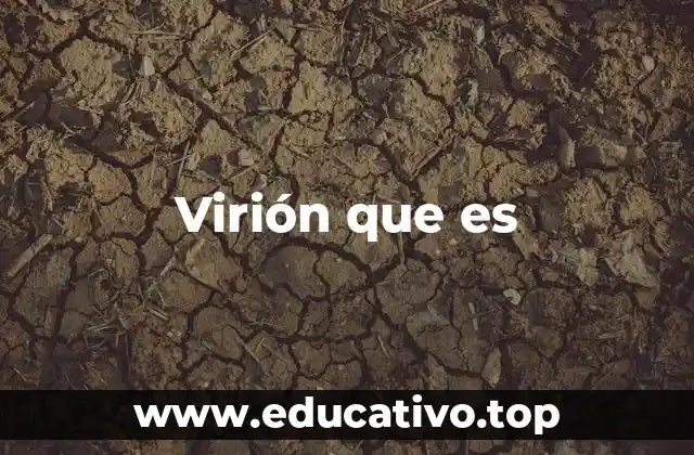 Virión que es