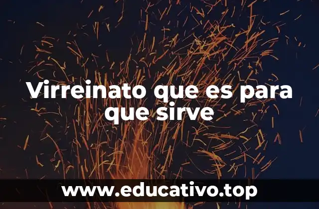 Virreinato que es para que sirve