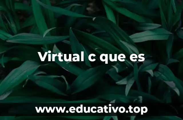 Virtual c que es