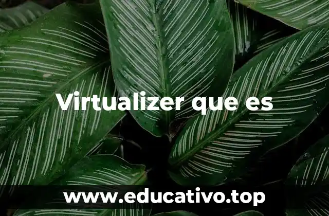 Virtualizer que es
