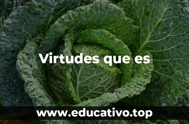 Virtudes que es