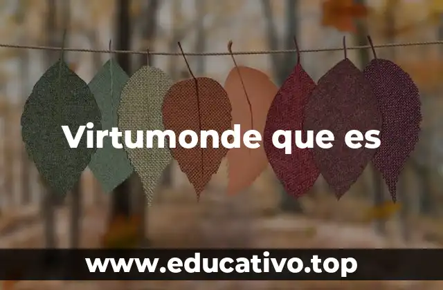 Virtumonde que es