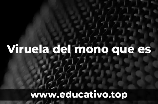 Viruela del mono que es