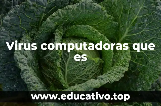 Virus computadoras que es