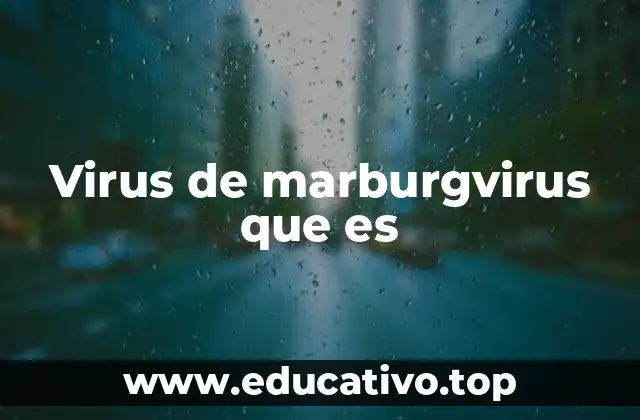 Virus de marburgvirus que es