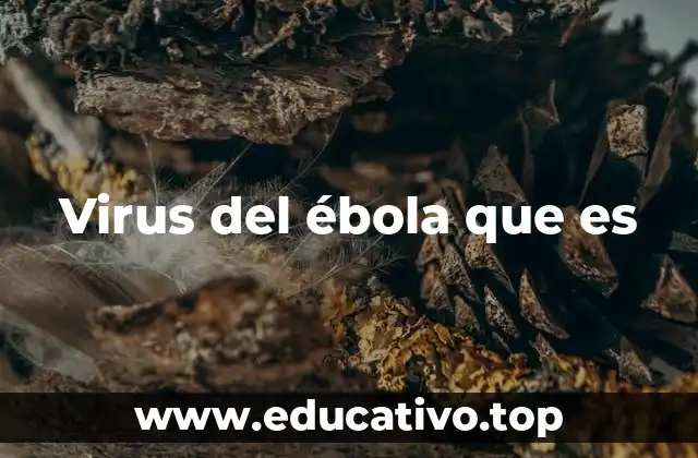 Virus del ébola que es