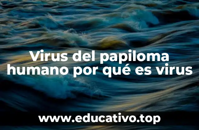 Virus del papiloma humano por qué es virus