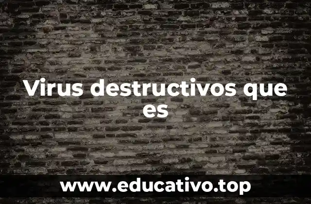 Virus destructivos que es