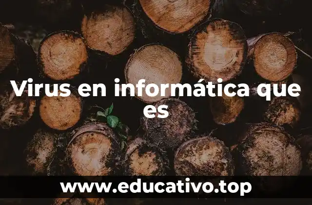 Virus en informática que es
