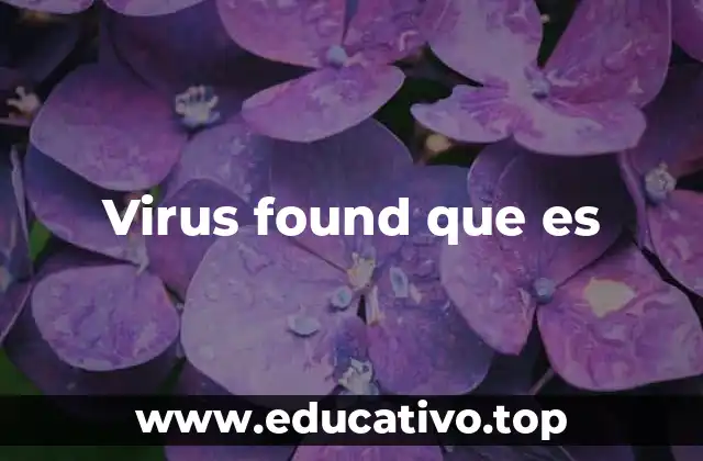 Virus found que es