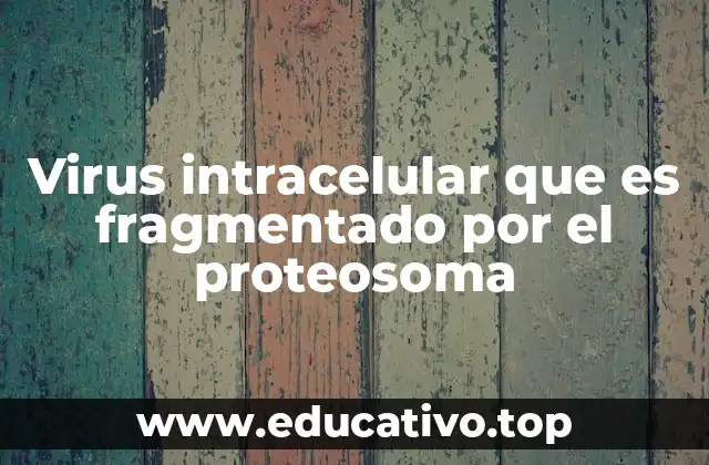 Virus intracelular que es fragmentado por el proteosoma
