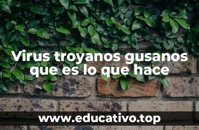 Virus troyanos gusanos que es lo que hace