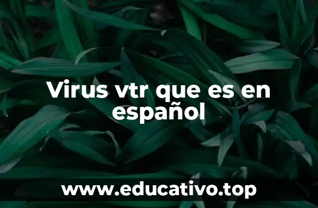 Virus vtr que es en español