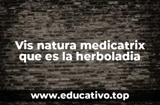Vis natura medicatrix que es la herboladia