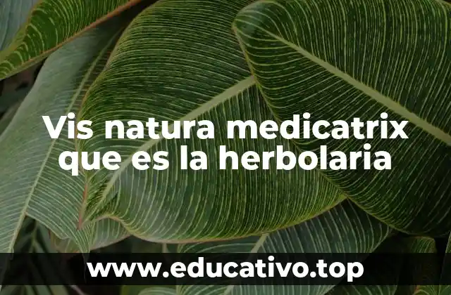 Vis natura medicatrix que es la herbolaria