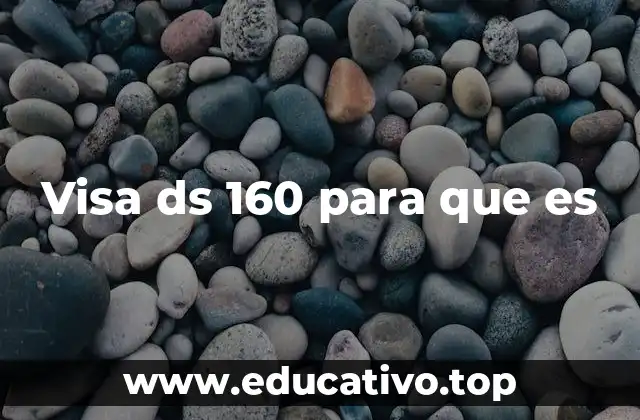 Visa ds 160 para que es