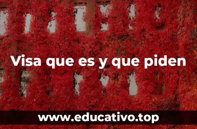 Cómo se solicita una visa y qué factores influyen en el proceso