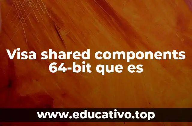 Visa shared components 64-bit que es