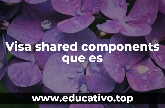 Visa shared components que es